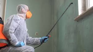 Best Residential Mold Inspection & Testing  in Fresno, TX