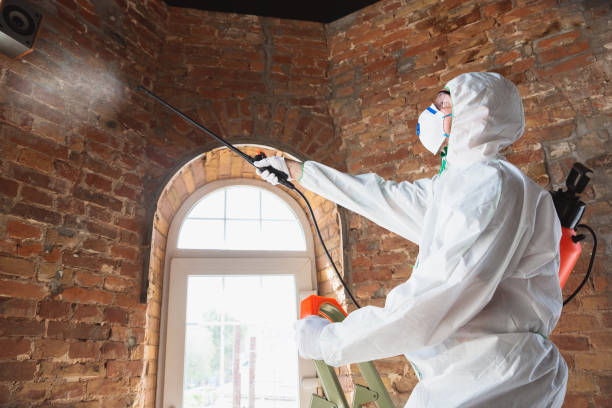 Best Industrial Mold Remediation  in Fresno, TX