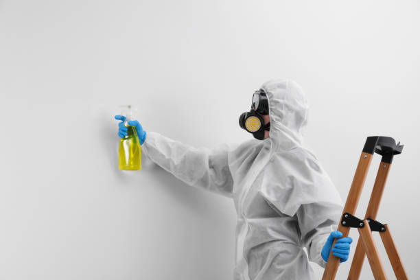 Reliable Fresno, TX Mold Removal Services Solutions