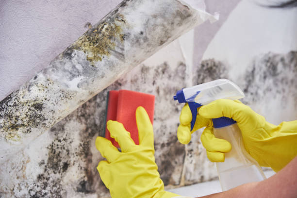 Forensic Mold Investigation in Fresno, TX